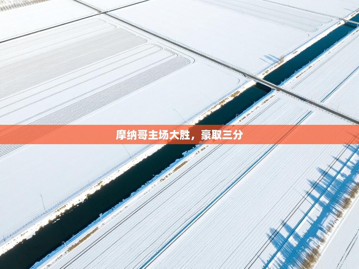 摩纳哥主场大胜，豪取三分  第1张