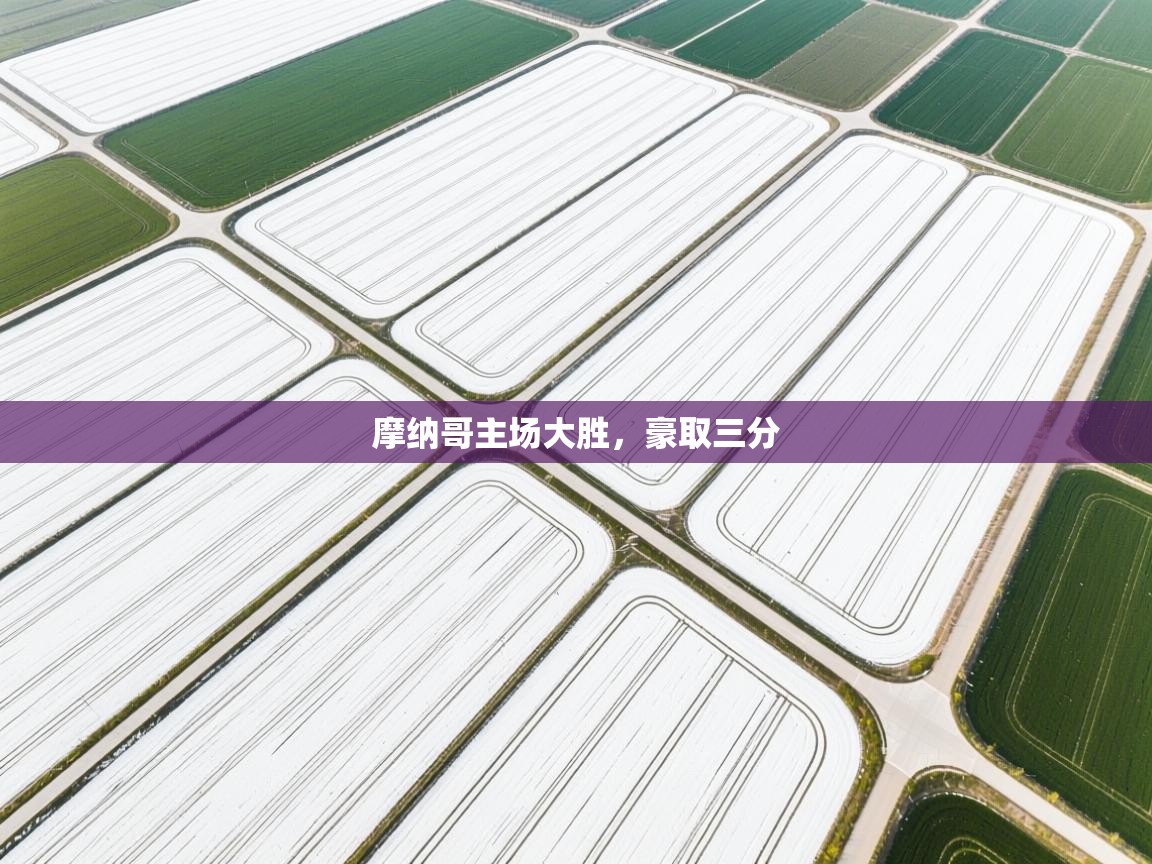 摩纳哥主场大胜，豪取三分  第2张